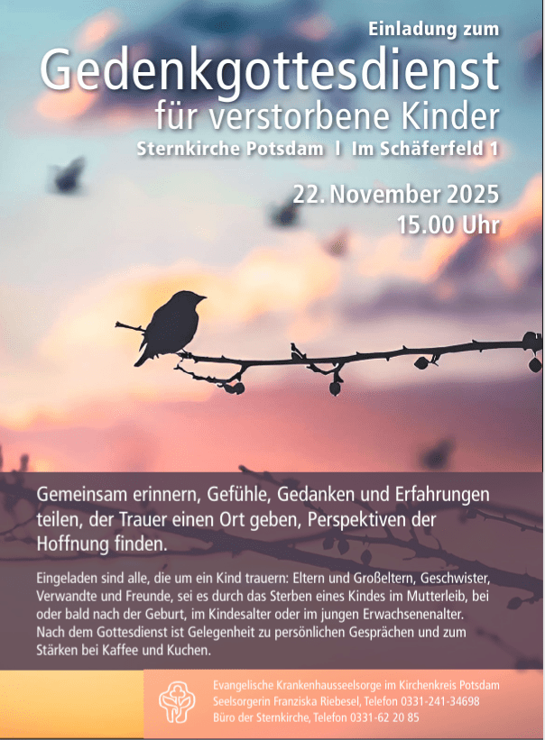 Screenshot (20) Sternenkinder Brandenburg
